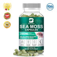 BEWORTHS Organic Sea Moss Capsules 2000Mg with Burdock Root, Irish Moss and Bladderwrack for Joint Health Support & Thyroid Supplement