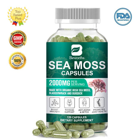 BEWORTHS Organic Sea Moss Capsules 2000Mg with Burdock Root, Irish Moss and Bladderwrack for Joint Health Support & Thyroid Supplement