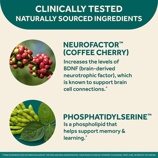 Original Brain Supplement for Memory, Focus & Concentration + Learning & Accuracy with Clinically Tested Nootropics Phosphatidylserine and Neurofactor, Caffeine Free, 30Ct Capsules