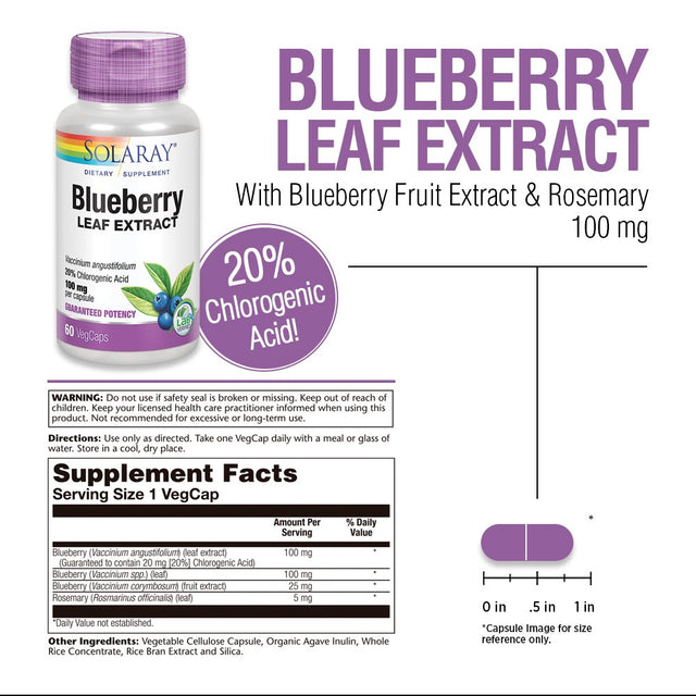 Solaray Blueberry Leaf Extract 100 Mg | Healthy Cardiovascular & Blood Sugar Balance Support | 60 Vegcaps