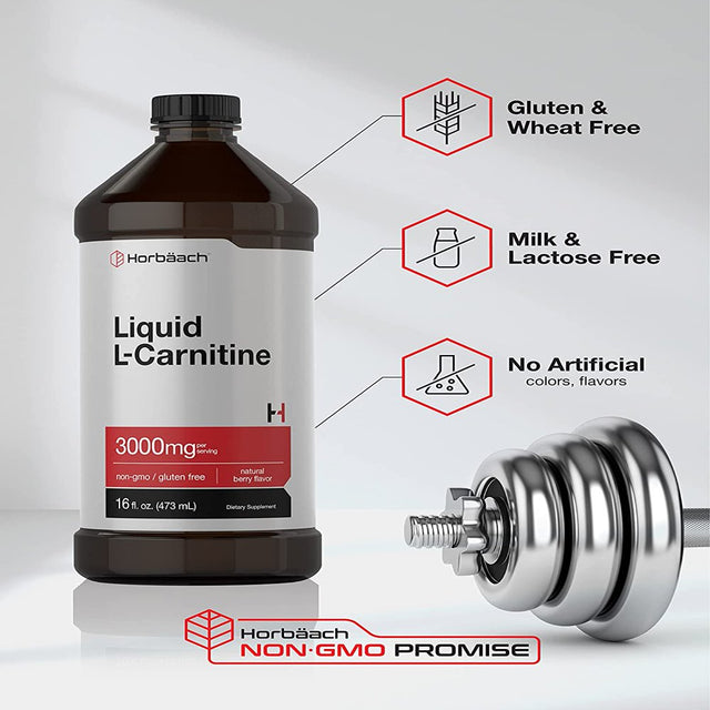 L-Carnitine Liquid 16 Oz | 3000 Mg | Natural Berry Flavor | by Horbaach