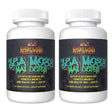 Urbalabs Sea Moss Max Blast Detox Organic Sea Moss Advanced Nootropic Brain Support Gut Cleanse Immunity Increase Energy Levels