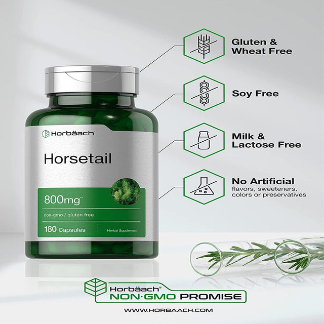 Horsetail Extract 800Mg | 180 Capsules | Herbal Supplement | by Horbaach