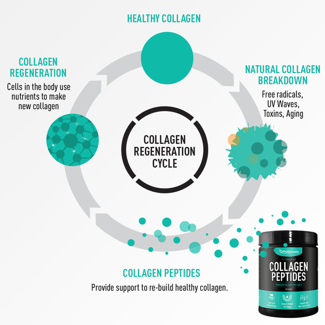 Hydrolyzed Collagen Peptides Protein Powder - Bovine Collagen Supplements - Grass-Fed Beef - Non-Gmo Keto & Paleo Friendly - Anti-Aging Proteins - Made in the USA [Unflavored]