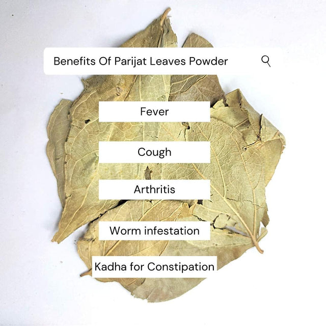 Parijatak Pan Powder - Harsingar Patti Powder - Paarijaat Leaf Powder- Parijatak Leaves Powder - ??????? ????? ?????- Harshingar Patta - Nyctanthes Arbor-Tristis (50 GMS)