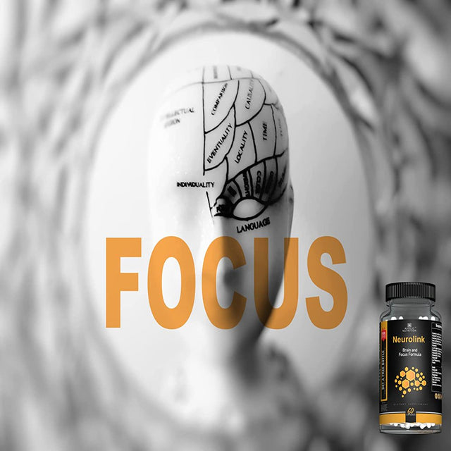 Brain Booster Focus Formula with DMAE, Bacopa Monnieri, Greet Tea, and Bilberry Fruit Extract for Sharper Memory, Better Focus, Stress Relief, Mood and Energy Booster, Nootropic Stack - 60 Caps