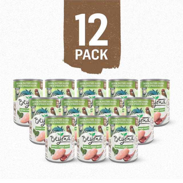 Purina beyond Support Immune Health Wet Dog Food Chicken Lamb Spinach, 13 Oz Cans (12 Pack)