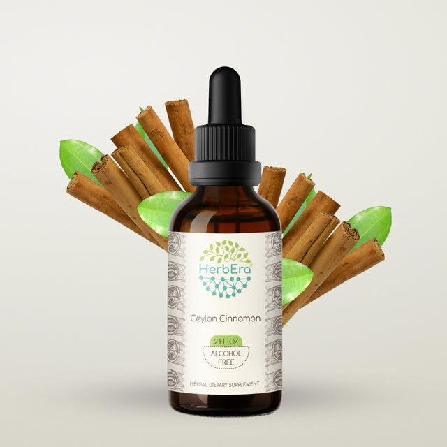 Ceylon Cinnamon Alcohol-Free Herbal Extract Tincture, Super-Concentrated Organic Ceylon Cinnamon (Cinnamomum Verum) Dried Bark 2 Oz