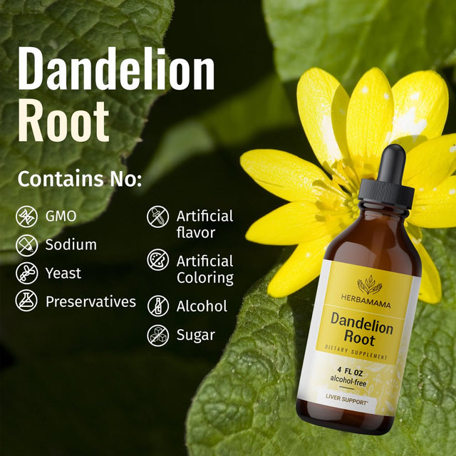 HERBAMAMA Dandelion Root Liquid Extract 4 Fl Oz- Organic Tincture for Immune Support