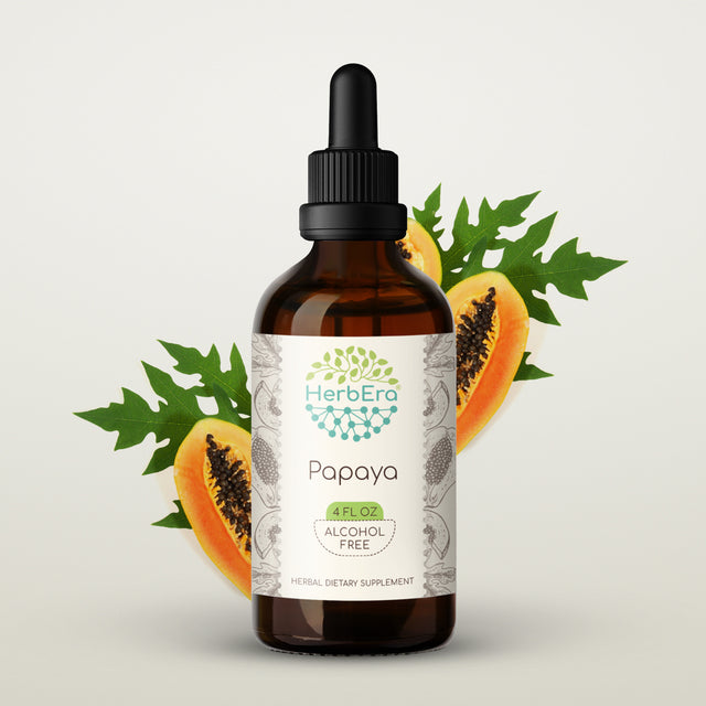 Papaya Alcohol-Free Herbal Extract Tincture, Super-Concentrated Organic Papaya (Carica Papaya) Dried Leaf 4 Oz