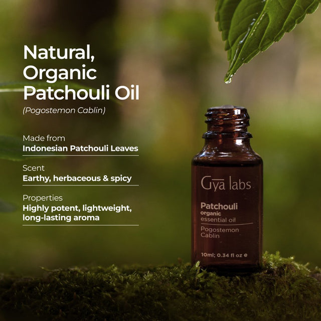 Gya Labs Organic Patchouli Oil for Diffuser & Aromatherapy - Patchouli Essential Oil Organic for Skin - Patchouli Oil for Body, Perfume & Candle Making (0.34 Fl Oz)