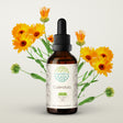 Calendula Alcohol-Free Herbal Extract Tincture, Super-Concentrated Organic Calendula (Calendula Officinalis) Dried Flower 2 Oz