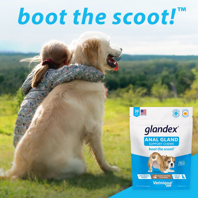 Glandex, for Anal Gland Support, Fiber Supplement for Dogs 40Ct Peanut Butter Chews