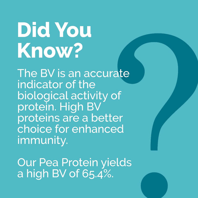 SANE Protein Powder Vegan + Unflavored Raw Pea + 26 Grams of Protein per Serving, Organic Plant Based Vegan Protein Powder, Gluten Free + Cholesterol Free + Soy Free