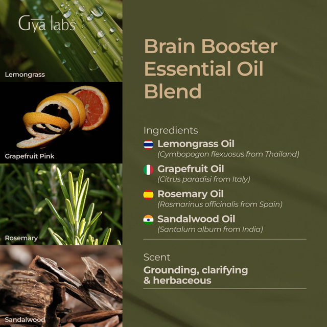 Gya Labs Brain Booster Essential Oil Blend (0.34 Fl Oz) - Grounding & Clarifying