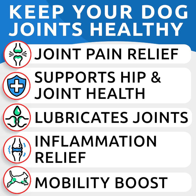 Glucosamine Chondroitin Dog Hip & Joint Supplement - Joint Pain Relief - Hip & Joint Chews for Dogs - Joint Support Large Breed - Senior Doggie Vitamin Pills Joint Health - (120 Treats - Chicken)