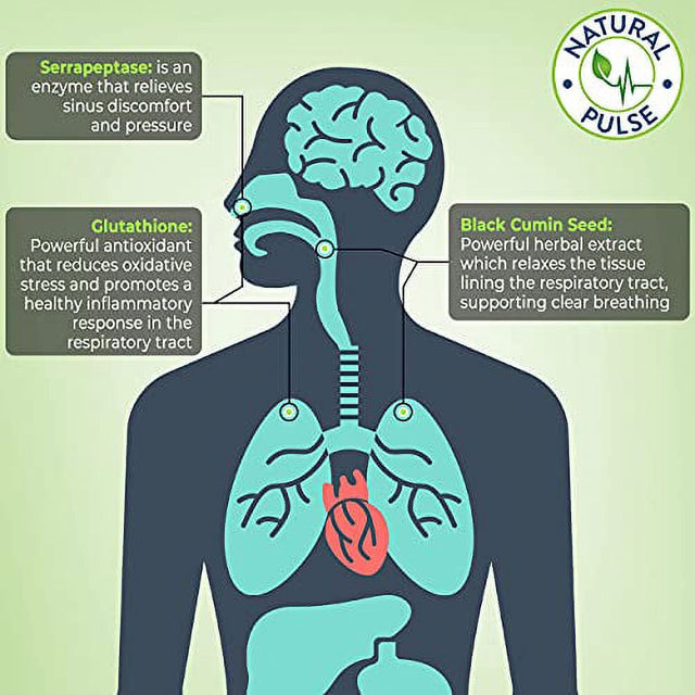 Natural Pulse Elderc Immune 90 Capsules Sinus & Lung Support Glutathione + Elderberry + Quercetin Complete Respiratory Support