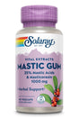 Solaray Mastic Gum Extract -- 1000 Mg - 45 Vegcaps