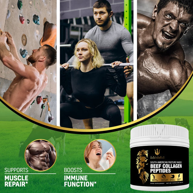 Beef Collagen Protein Powder Supplement | South American Green Pasture Raised Cattle | the Finest Triton Ocean Formulas