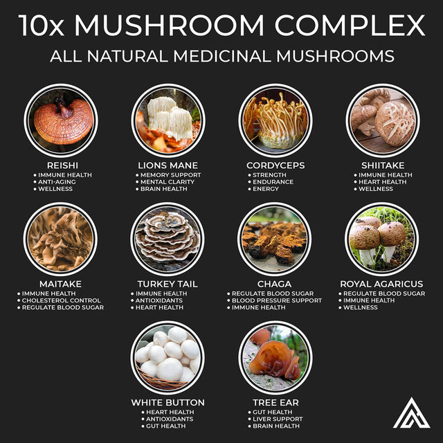 Mushroom Complex Supplement - Lions Mane, Reishi, Cordyceps, Chaga, Turkey Tail - Immune Booster & Nootropic Brain Supplement for Memory & Focus - Natural Energy & Stress Relief (90 Capsules)