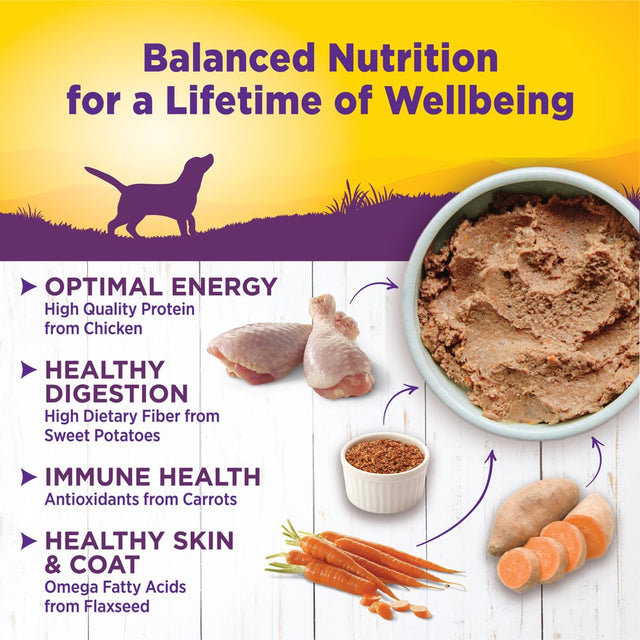 Wellness Complete Health Natural Wet Canned Dog Food, Chicken & Sweet Potato, 12.5-Ounce Can (Pack of 12)