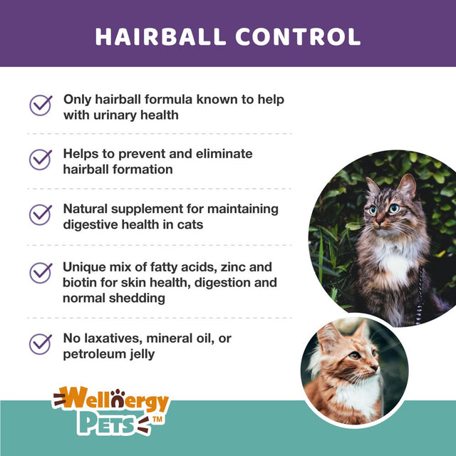 Natural Hairball Control Chews for Cats – Hairball Remedy & Aid with Omega 3 6 Fatty Acids, Zinc, Biotin, Cranberry, and Fiber. Promotes Skin & Coat, Digestive, Urinary Health. 70Ct