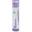 Boiron Kali Phosphoricum 1M, Homeopathic Medicine for Tension Headaches Associated with Intellectual Fatigue, 80 Pellets