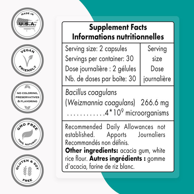 Supersmart - Bacillus Coagulans Probiotic 4 Billion CFU per Day (Lactobacillus Sporogenes) - Healthy Gut Flora - Digestive Health | Non-Gmo & Gluten Free - 60 Delayed Released Capsules