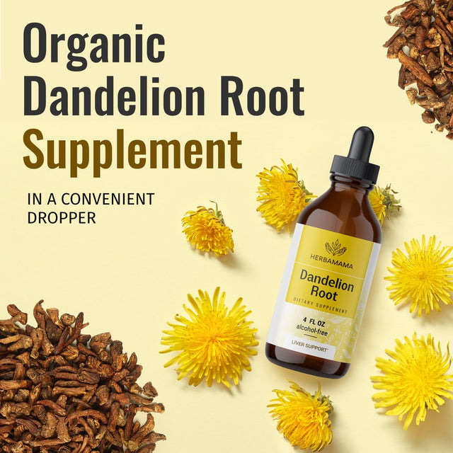 HERBAMAMA Dandelion Root Liquid Extract 4 Fl Oz- Organic Tincture for Immune Support