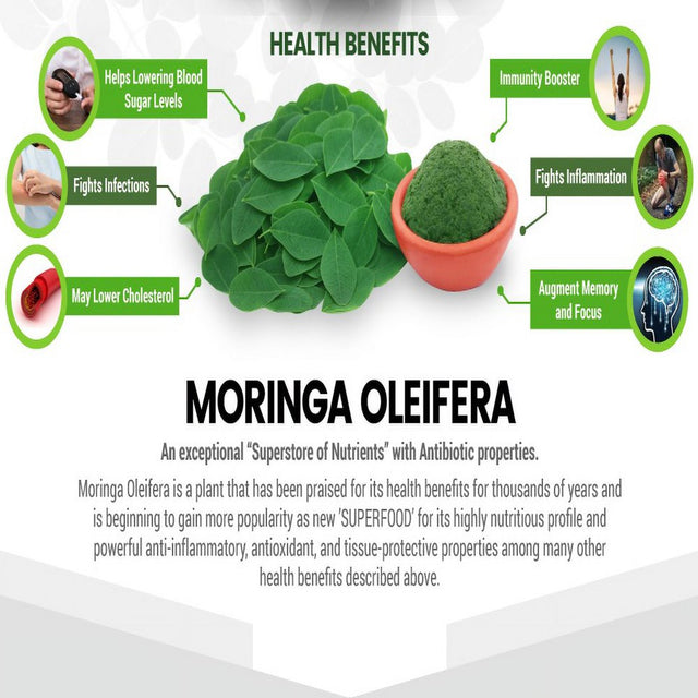 Moringa Oleifera Natural Multi-Vitamin 10:1 Leaf Extract Boosts Immune System Capsules