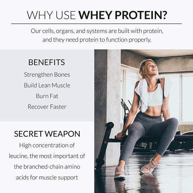 Alaya Naturals - Grass Fed Whey Protein Powder - Vanilla Flavor, All Natural, Hormone Free - 20G Protein per Serving - Non-Gmo, Rbgh Free, Gluten Free - Great Source of BCAA