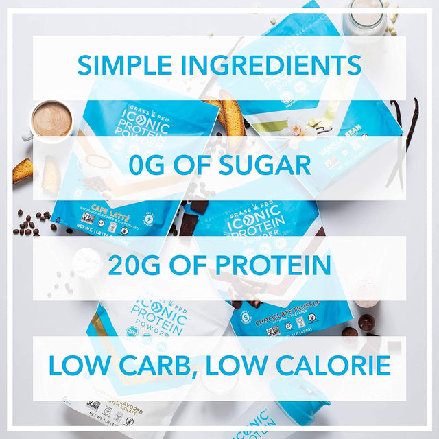 ICONIC Chocolate Lover'S Bundle | 12 Low Carb Protein Shakes + 1 Lb. (17 Servings) Low Carb Protein Powder | Zero Sugar, 20G Protein, 4G Net Carbs | Lactose Free, Gluten Free, Soy Free | Keto Friendly