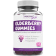 Healths Harmony Elderberry Gummies for Kids - Children'S Immune Support Gummy with Vitamin C & Zinc - 90Ct Unisex for Ages 4+