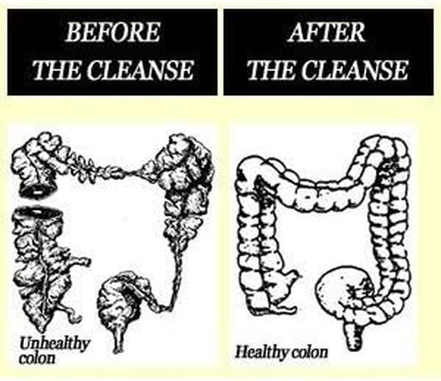 Fiber Colon Cleanse Pure Plantago Seeds