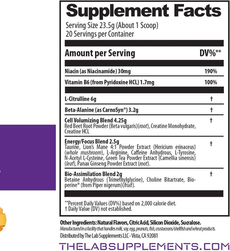 Pre-Lab17 Advanced Pre-Workout Supplement | Delicious Purple Pineapple Flavor | Supports Energy, Endurance, Focus, Drive, Vascularity | 20 Servings | Made in USA