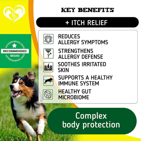 Dog anti Itch & Allergy Relief Chews - Dry Itchy Skin & Hot Spot Treatment with Probiotic, Omega 3 Oil - Immune Supplement & Seasonal Allergies Medicine for Dogs, Puppy - 140 Bites Made in USA