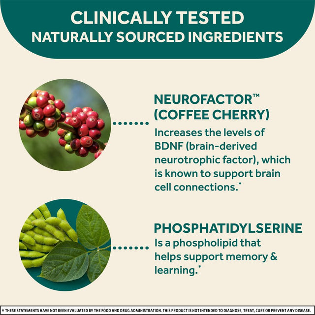 Neuriva® Brain Performance - Original Grape Gummies 12/50 Ct.