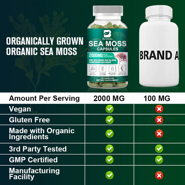 BEWORTHS Organic Sea Moss Capsules 2000Mg with Burdock Root, Irish Moss and Bladderwrack for Joint Health Support & Thyroid Supplement