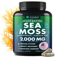 Sea Moss Capsules - Irish Sea Moss Advanced with Burdock Root, Bladderwrack Muira Puama for Immunity, Gut, Energy - Superfood Sea Moss Supplements W/Raw Sea Moss Powder - 120 Irish Seamoss Pills