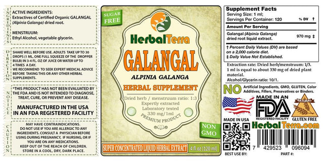 Galangal (Alpinia Galanga) Tincture, Organic Dried Root Liquid Extract (Herbal Terra, USA) 2 Oz