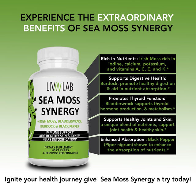 Livin Lab Sea Moss Synergy - Organic Irish Moss, Burdock Root, and Bladderwrack Capsules - Immune System, Gut Cleanse & Thyroid Supplement - All-Natural Sea Moss Powder