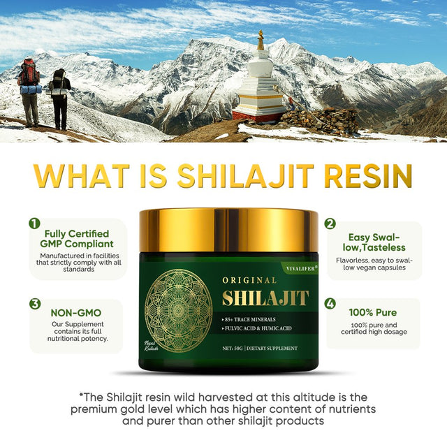 500Mg Himalayan Shilajit Resin Supplement, 85+ Trace Minerals Complex for Brain Booster & Energy, Immune Support, Overall Health - 50G (2-3 Month Supply)