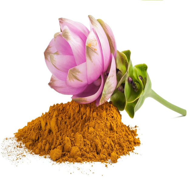 Curcumin Extract Powder