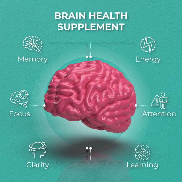 Ageless Brain Memory Supplements for Adults, Nootropic Brain Supplement, Brain Health Supplements for Adults with Vitamin B6, Alpha GPC, Bacopa Monnieri by Purehealth Research