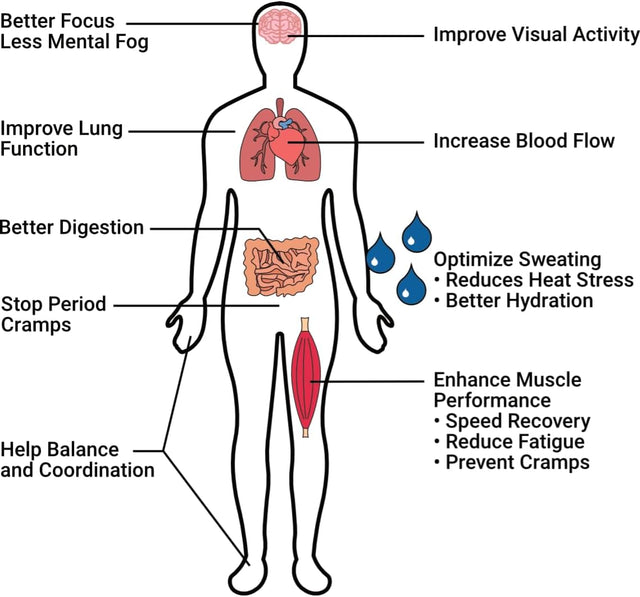 Fiber 2K: 9 G Soluble Fiber, 2000 Mg Potassium, 50 Mg Magnesium | Powder Drink Mix | 3X More Dietary Fiber than Leading Fiber Supplement | 6X More Electrolytes than a Sports Drink