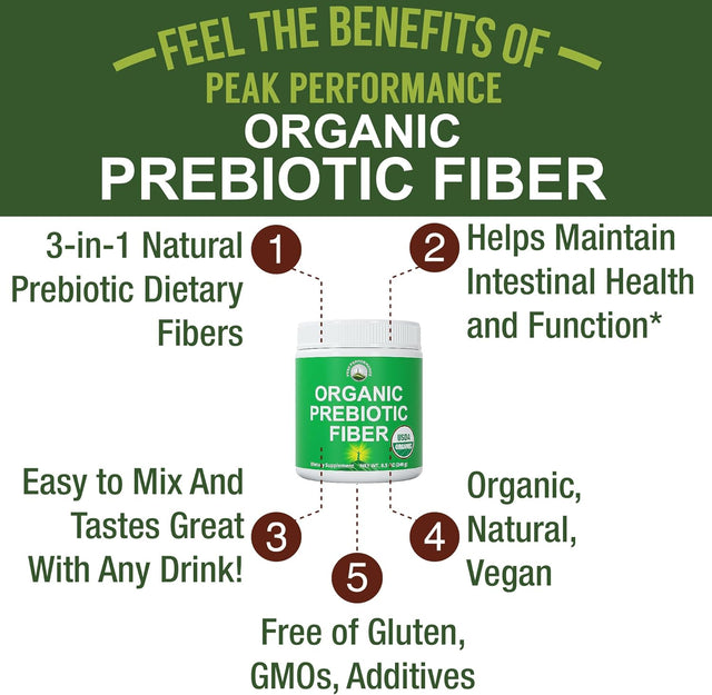 Organic Prebiotic Fiber 3-In-1 Vegan Powder for Gut Health. USDA Organic Raw Whole Food Plant Based Prebiotics Digestive Supplement with Organic Inulin (Jerusalem Artichoke), Acacia Fibers, Sunfiber