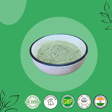 Kalmegh Powder (Andrographis Paniculata)(Green Chiretta) by Mi Nature | 227G(8Oz) (0.5Lb) | Immune Support | “King of Bitters”