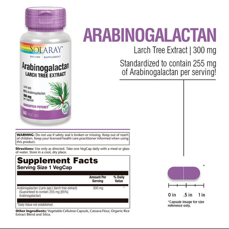 Solaray Arabinogalactan, Larch Tree Extract 300Mg | Prebiotic Fiber for Healthy Gut & Immune System Support | 60 Vegcaps