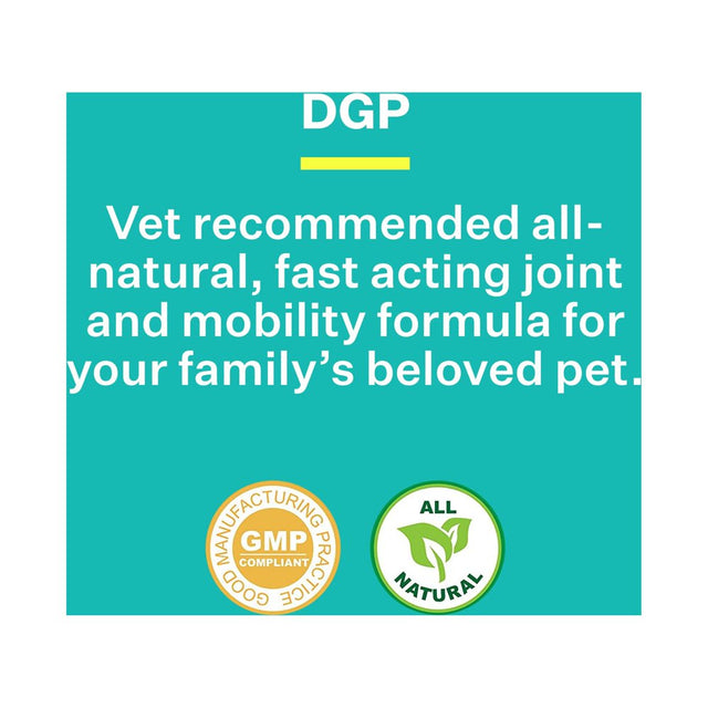 American Biosciences DGP, Joint Supplement for Dogs - Joint Support with Turmeric, Boswellia Extract & More - Quick Effect for Immediate Mobility Support - 60 All-Natural Chewable Pet Tablets (2 Pack)