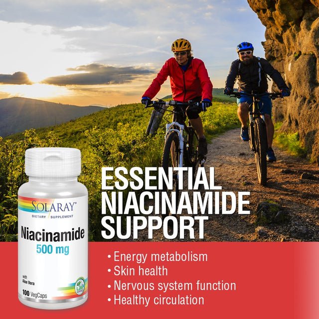 Solaray Niacinamide 500 Mg | Vitamin B-3 | Energy Metabolism, Circulation, Nerve & Skin Health Support, 100 CT